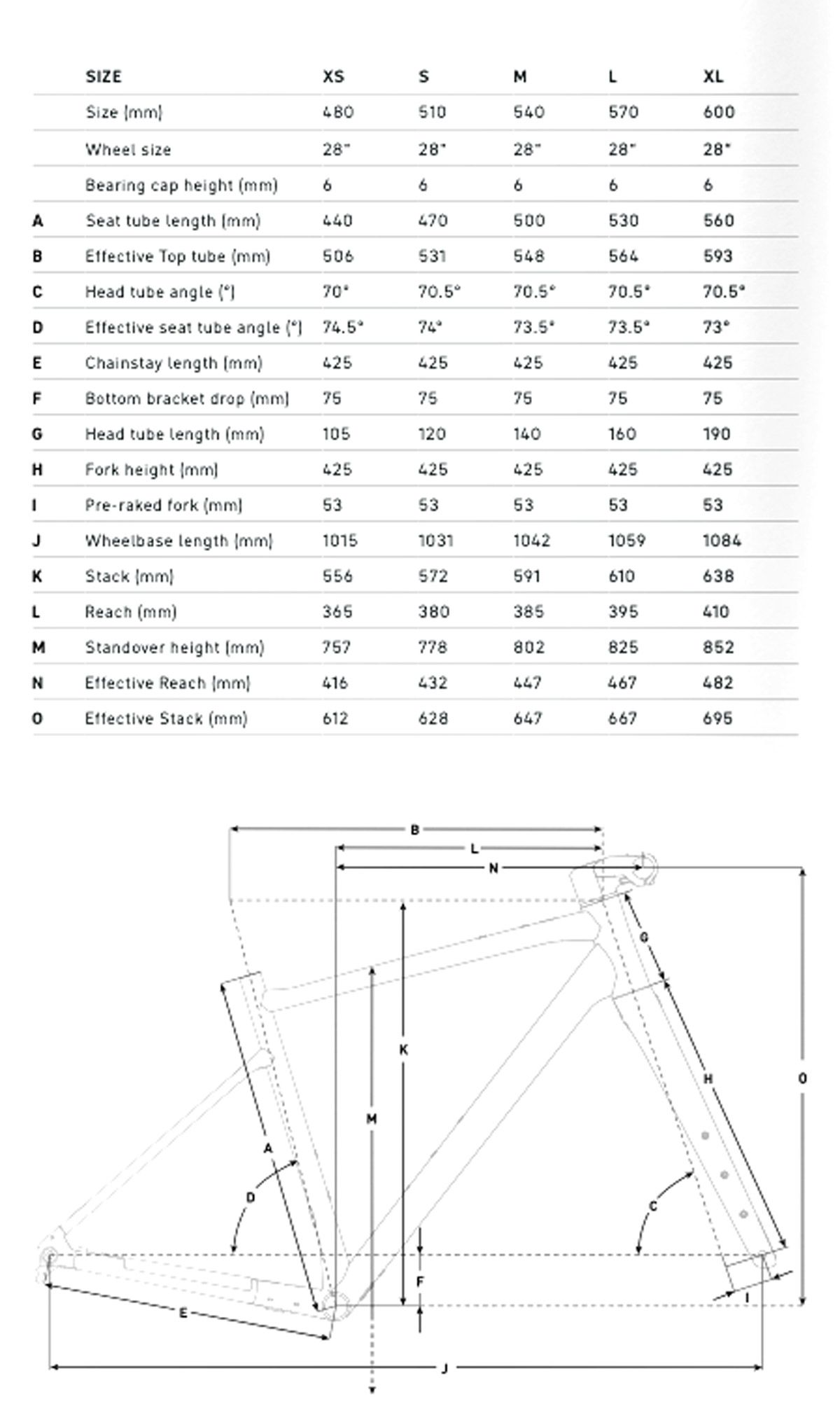 Focus Atlas Geometría 6
