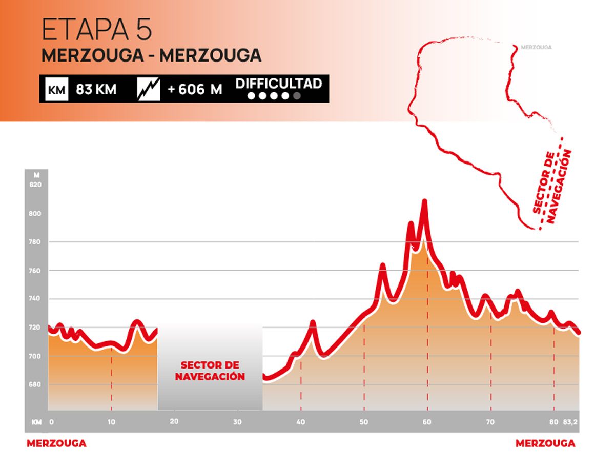 etapa 5