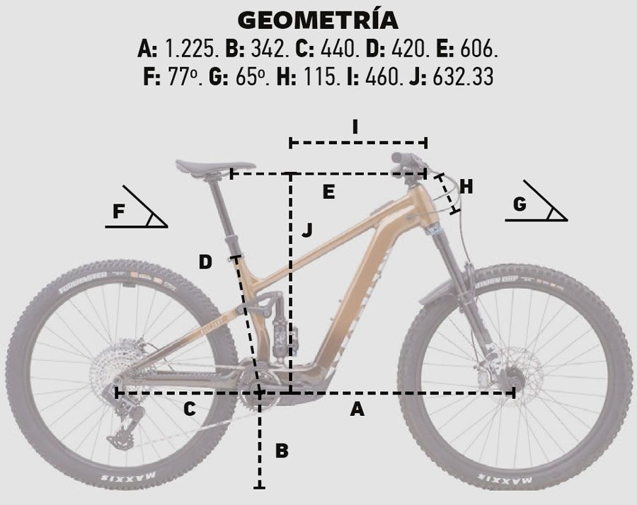 Geometría Geometría