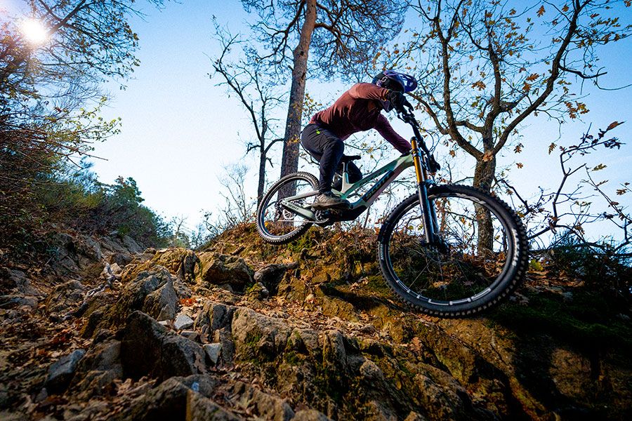 Accion Scott Gambler (12)