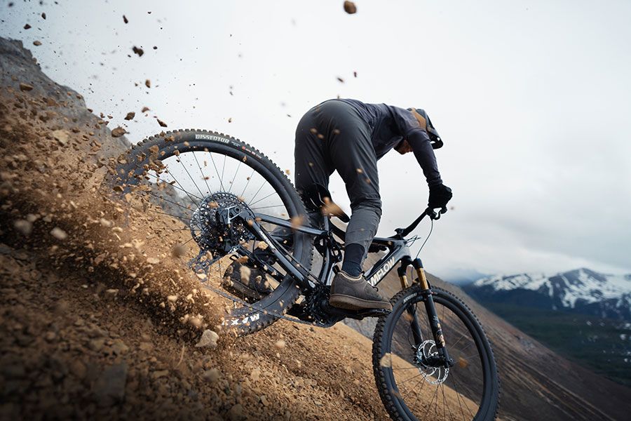 Amflow PL Carbon PRO. Oferta 2026 por tiempo limitado  (1)
