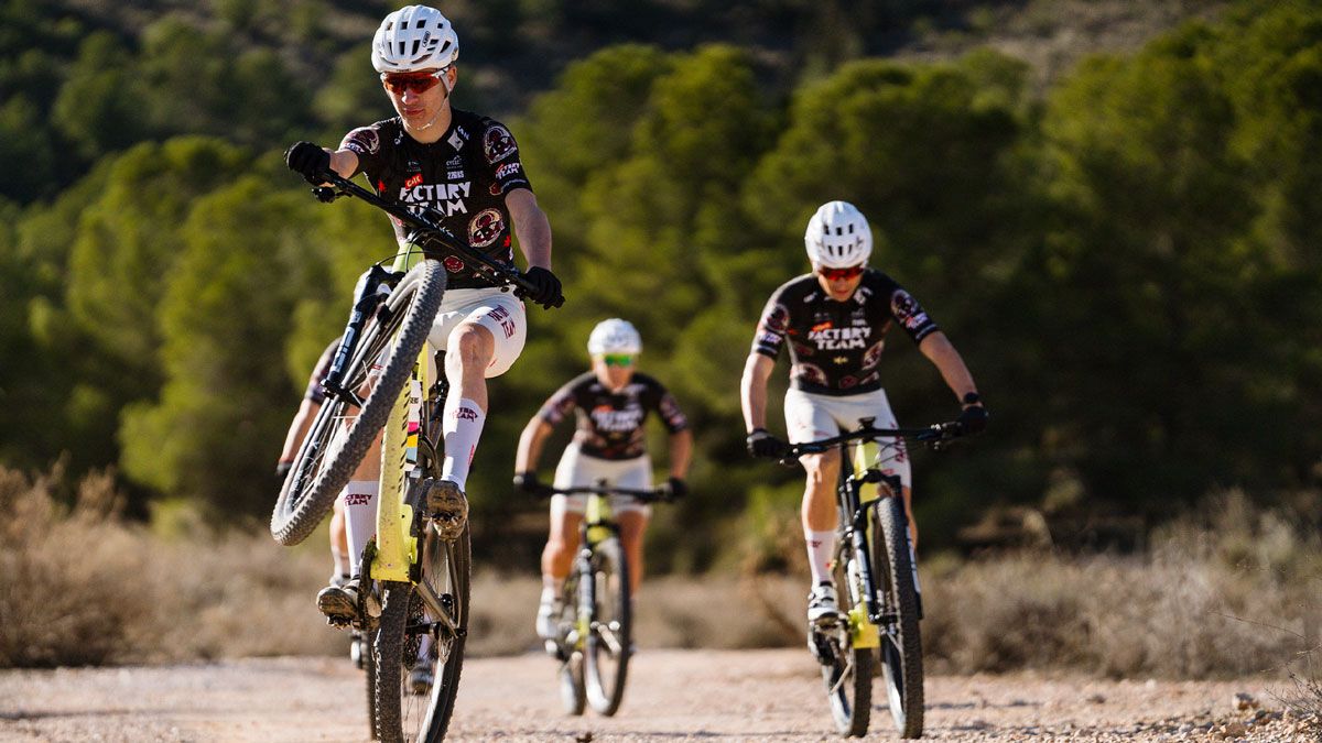 Gobik presenta su nuevo kit “The Art of Celebration” Gobik presenta su nuevo kit “The Art of Celebration”