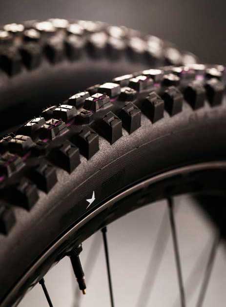 Schwalbe