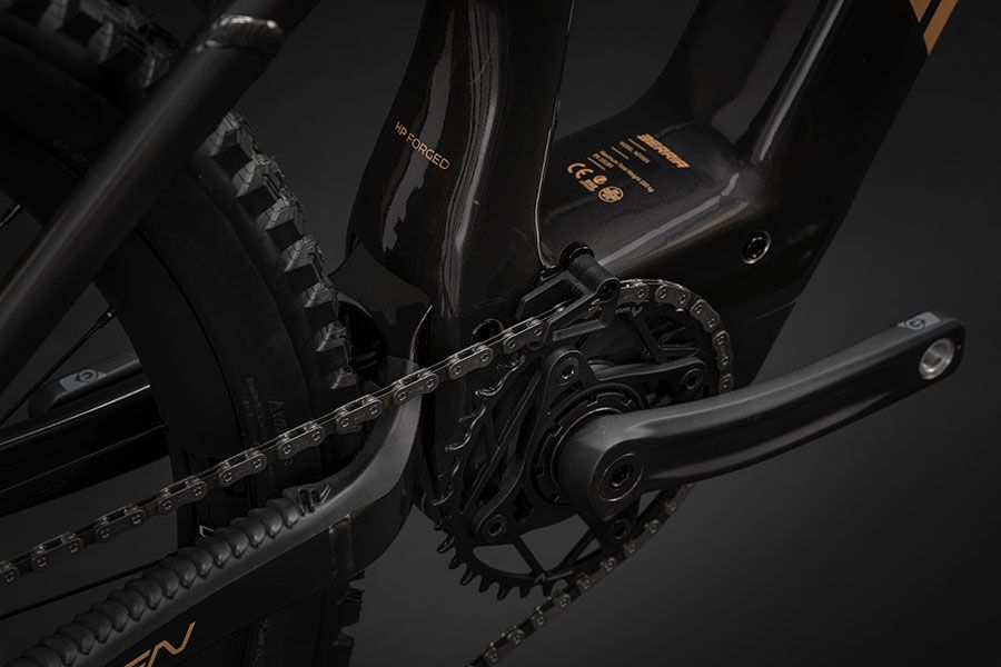 Berria Bikes   Nexxen Avinox DSC5268