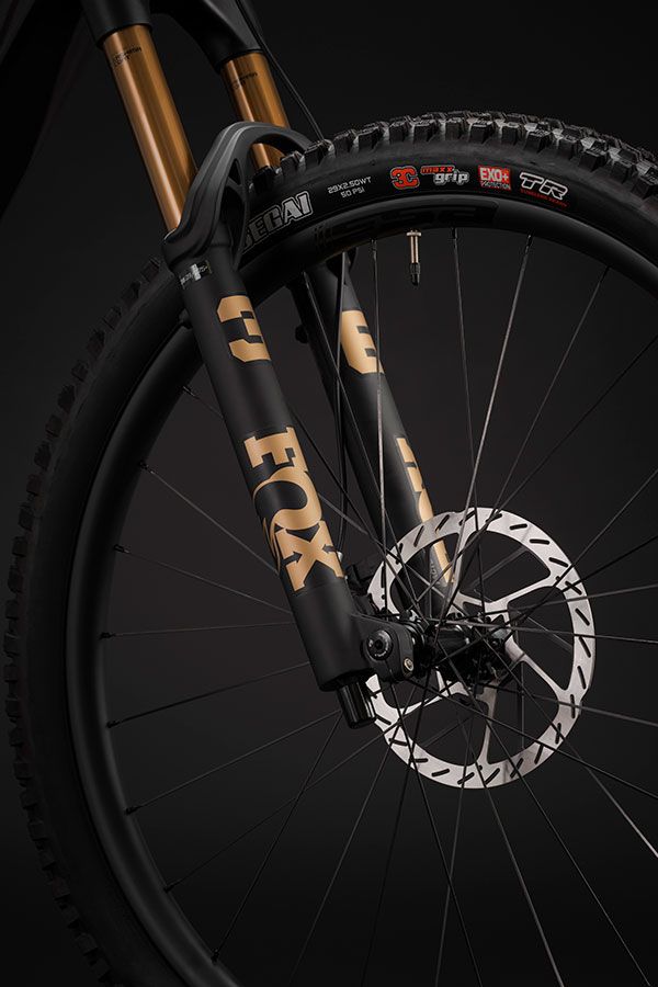 Berria Bikes Nexxen Avinox DSC5276 Berria Bikes Nexxen Avinox DSC5276