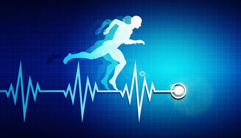 entendiendo la variabilidad de la frecuencia cardiaca vfc en el rendimiento deportivo 2 790x454 entendiendo la variabilidad de la frecuencia cardiaca vfc en el rendimiento deportivo 2 790x454
