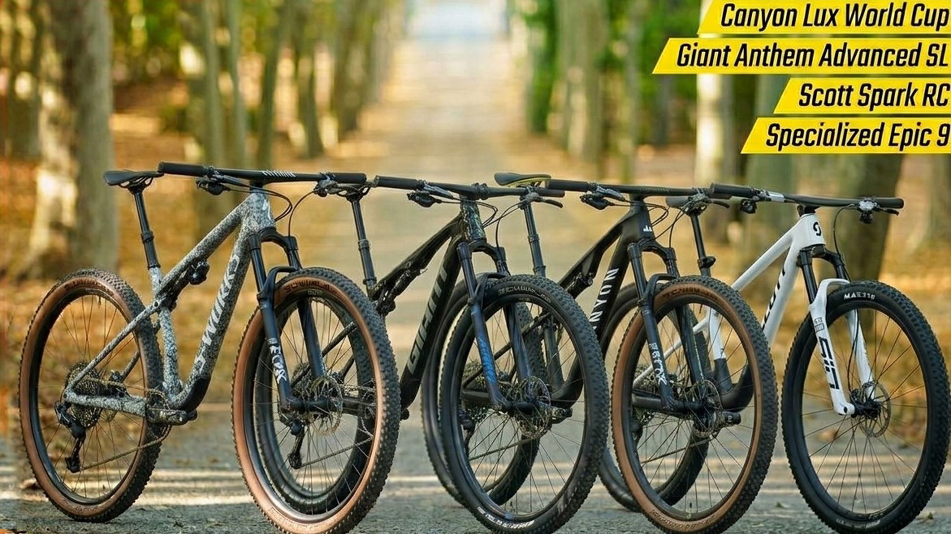 Canyon, Giant, Scott, Specialized, Cuál elegir