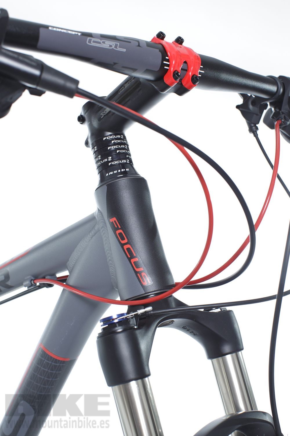 Focus Black Forest 29R