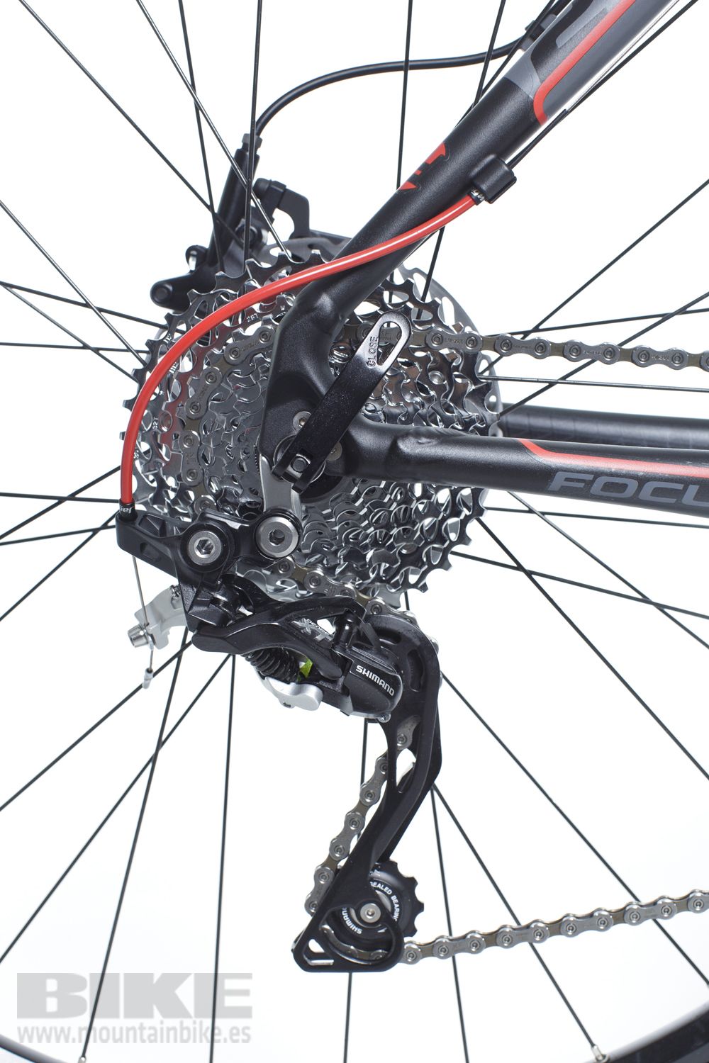 Focus Black Forest 29R