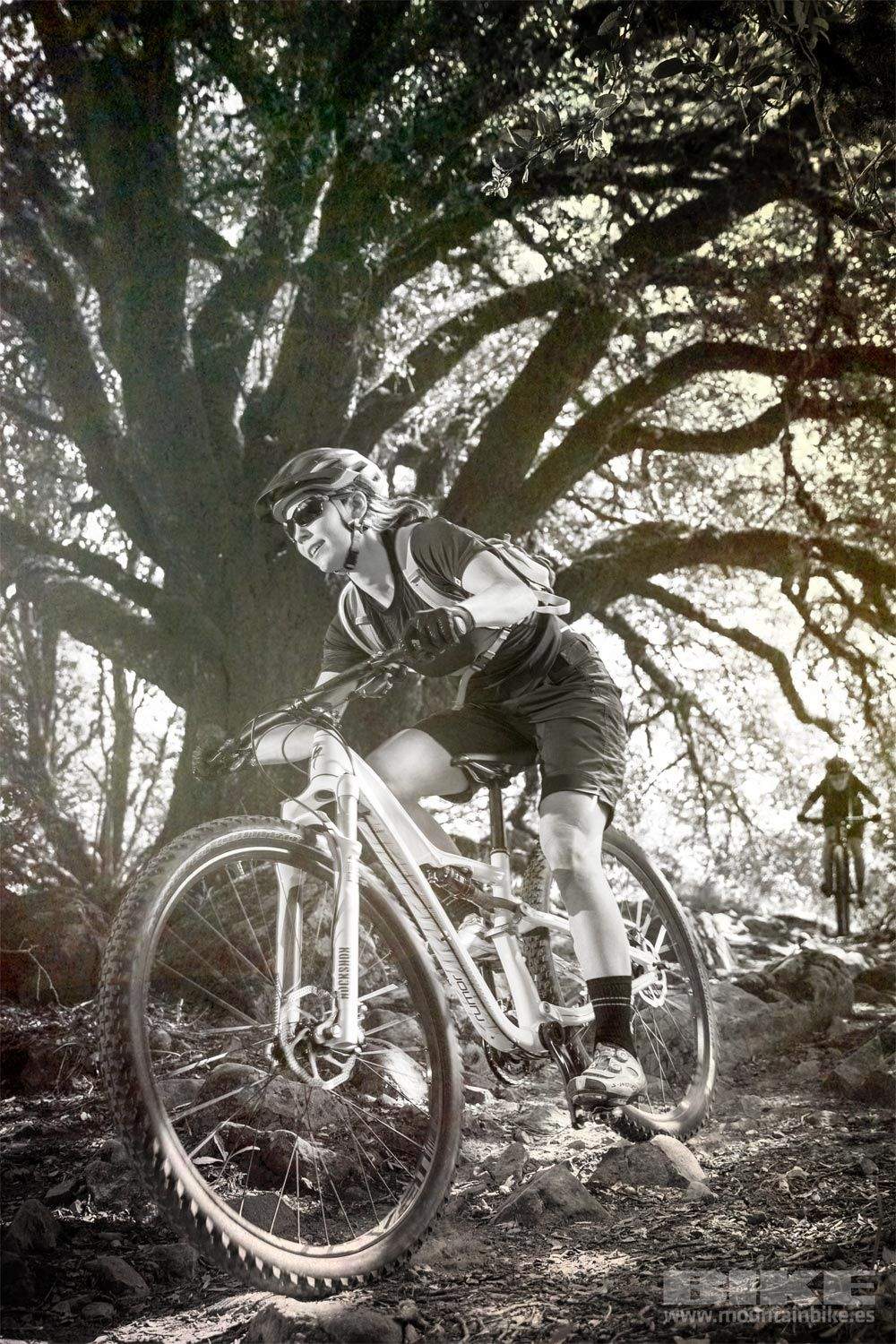 Specialized Rumor