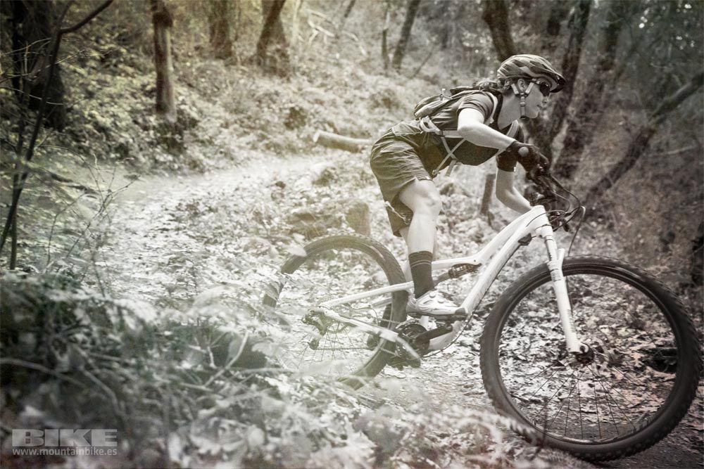 Specialized Rumor