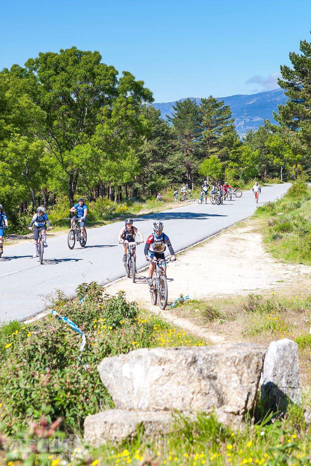 Galería 1 MTB de la Mujer Test The Best 2013