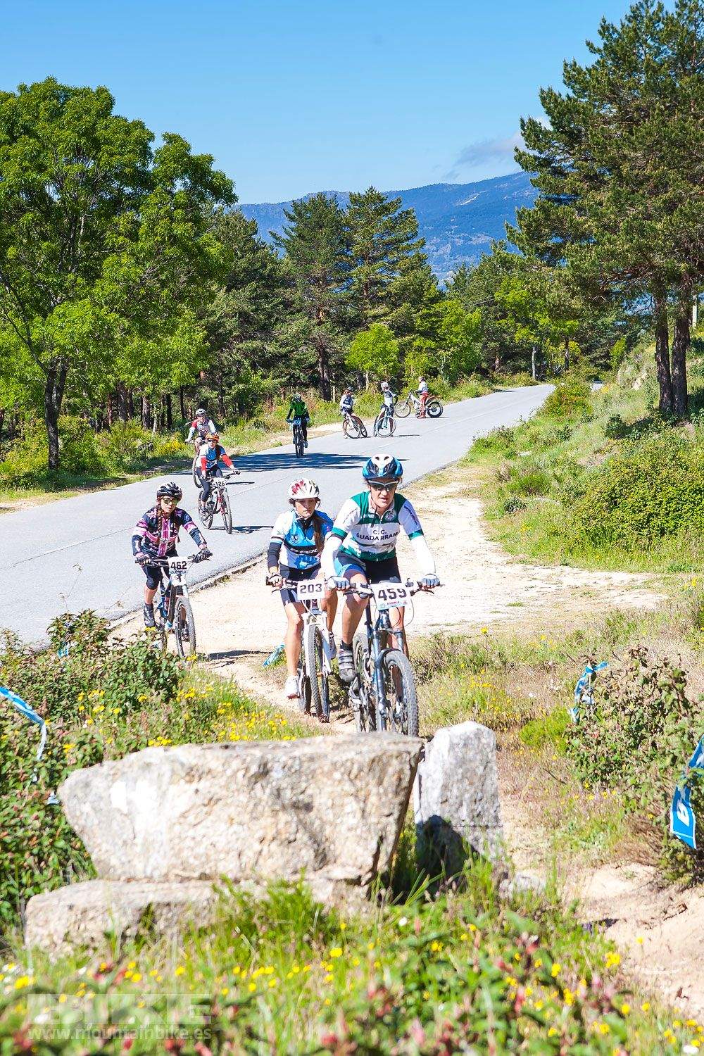 Galería 1 MTB de la Mujer Test The Best 2013