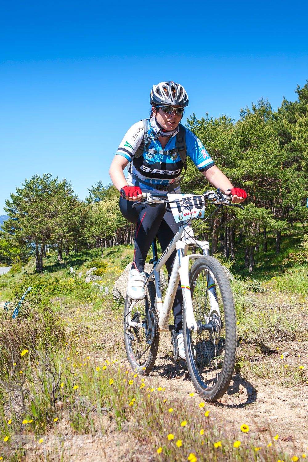Galería 1 MTB de la Mujer Test The Best 2013