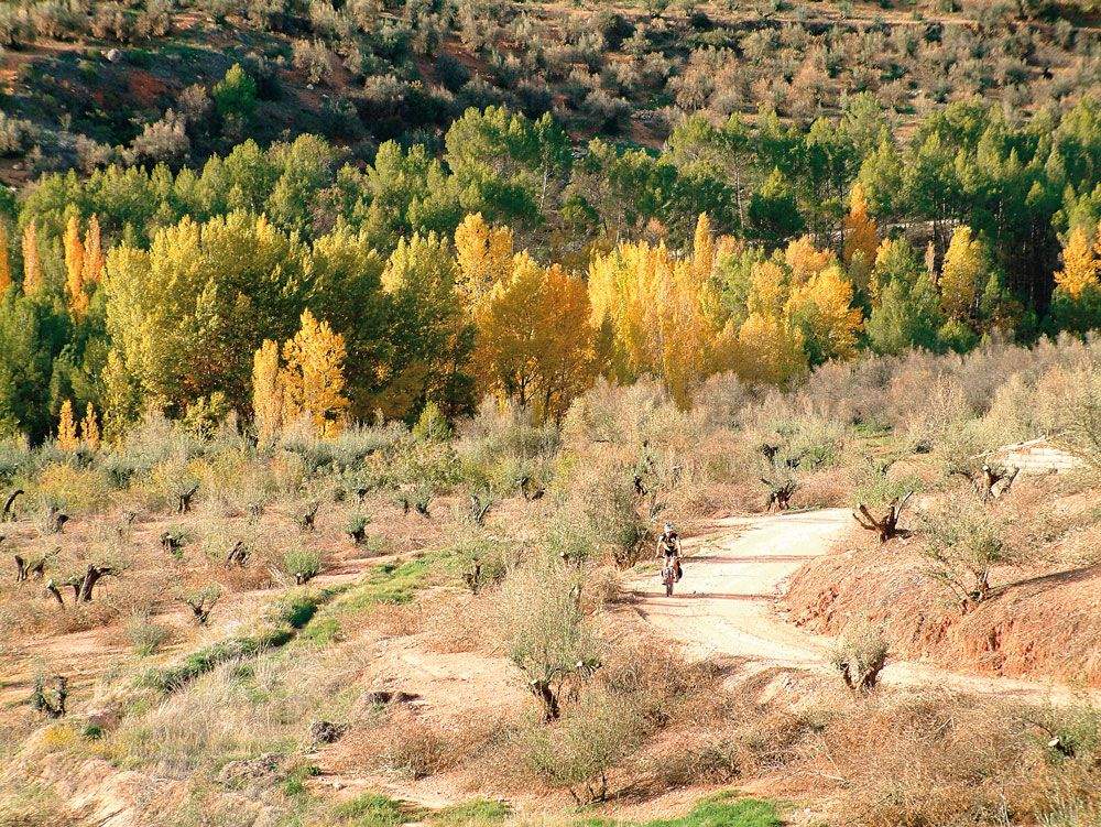 Otoño1