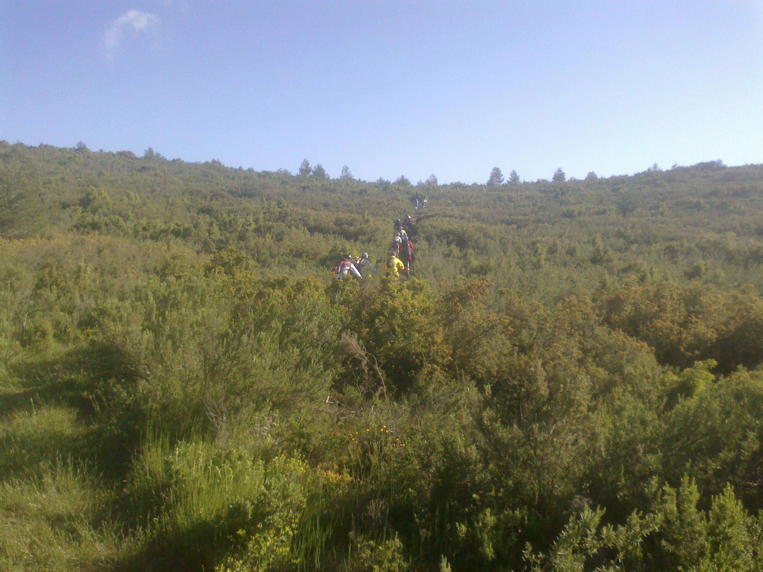 krryon@hotmail.com