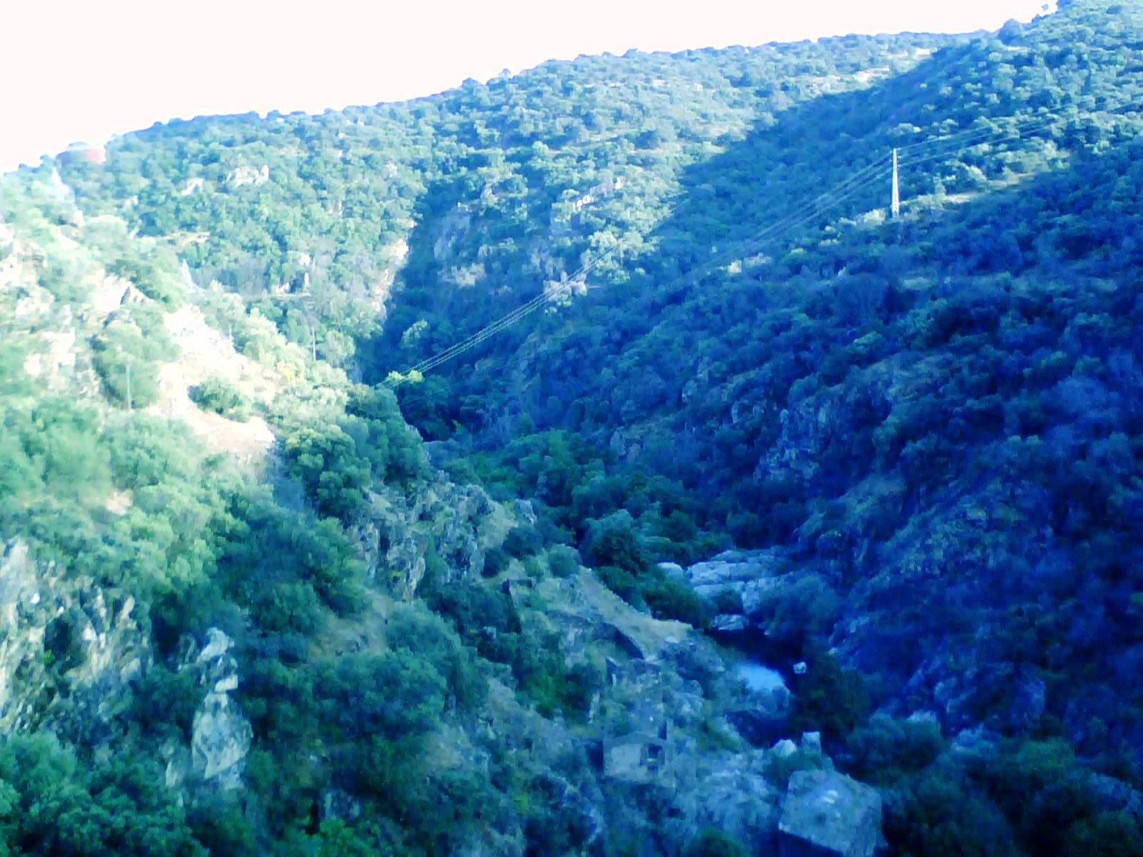 vivajavi