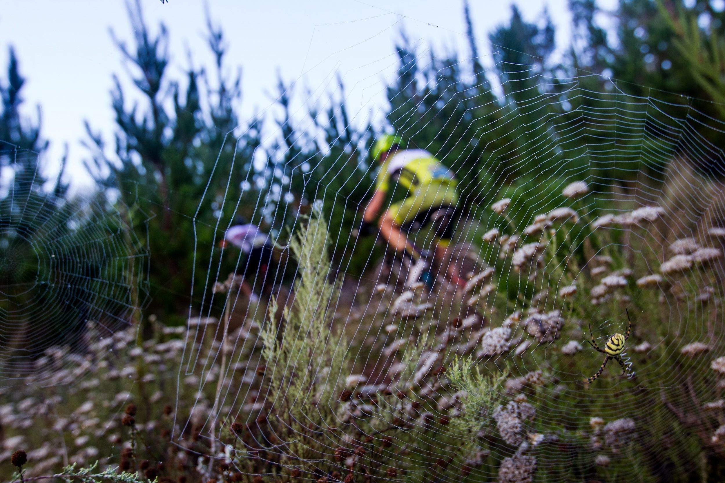 Absa Cape Epic