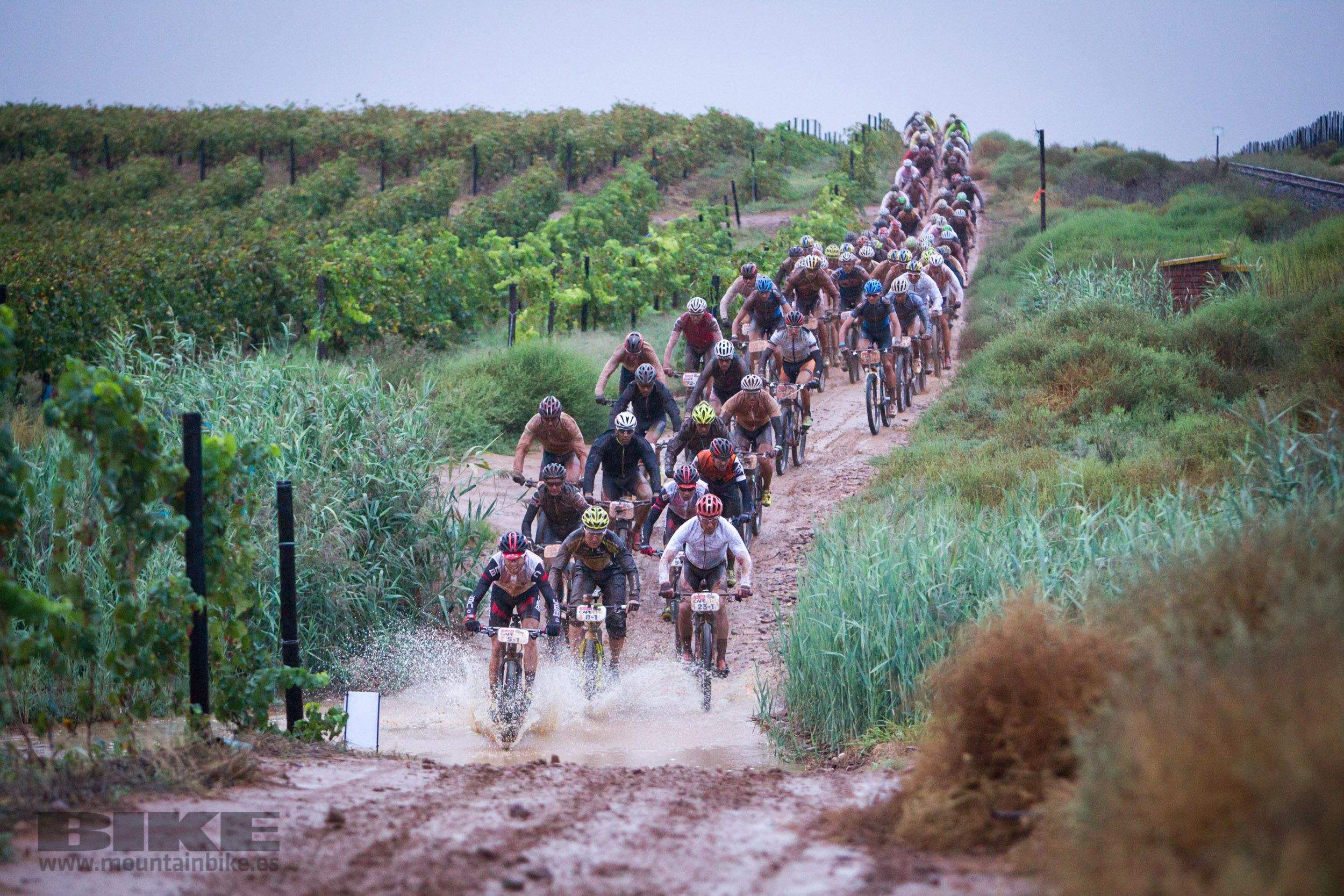 Absa Cape Epic