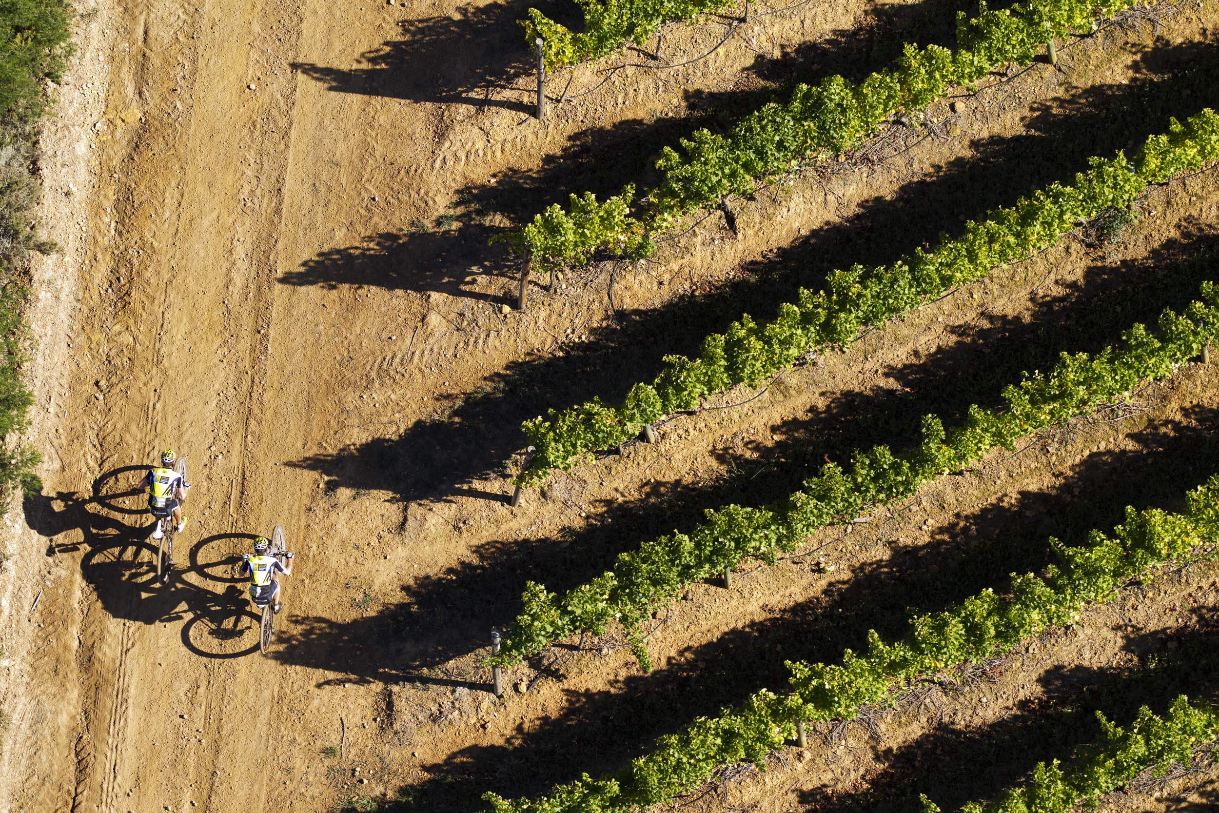 Absa Cape Epic