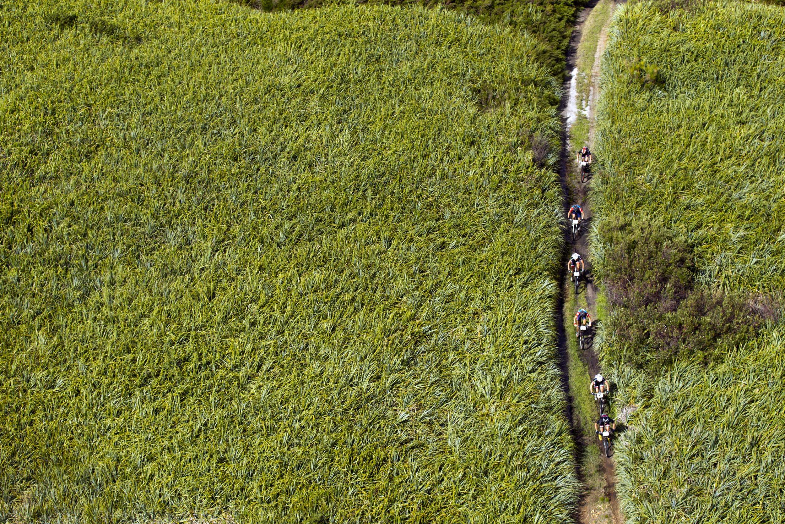Absa Cape Epic