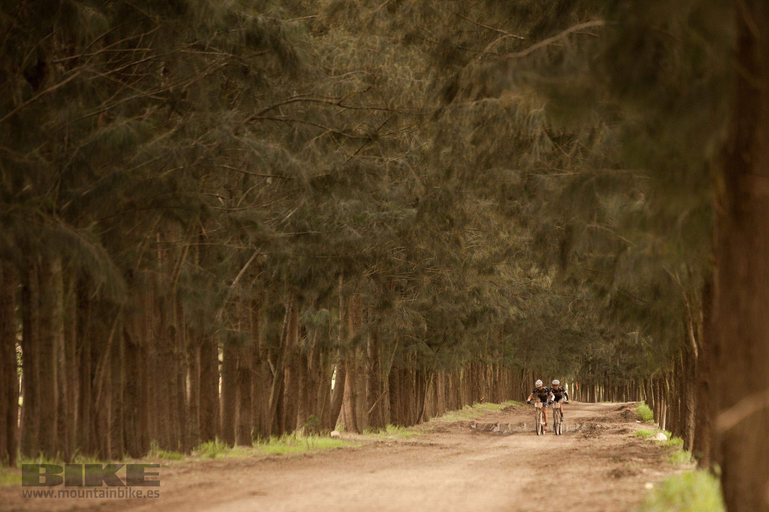 Absa Cape Epic