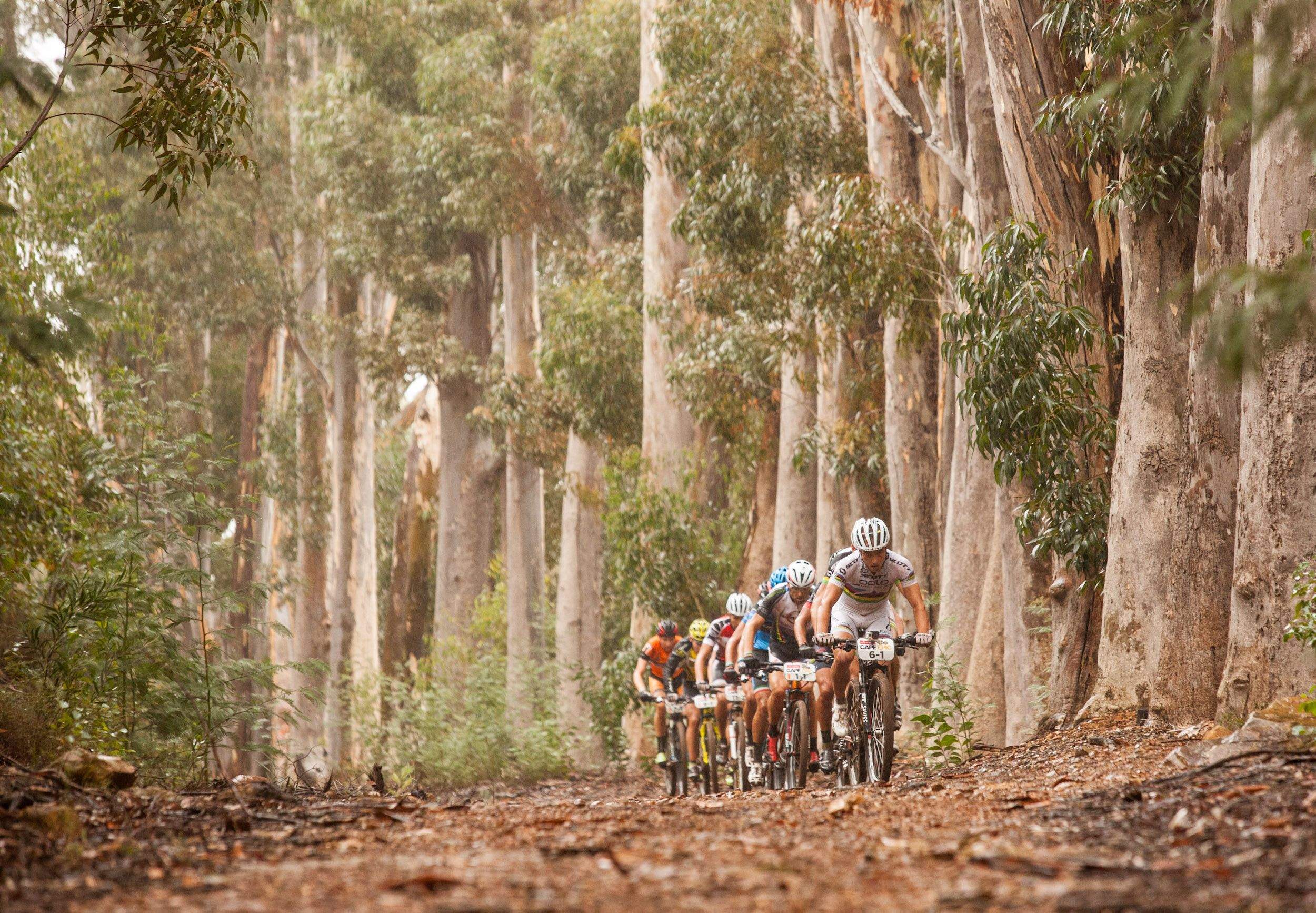 Absa Cape Epic