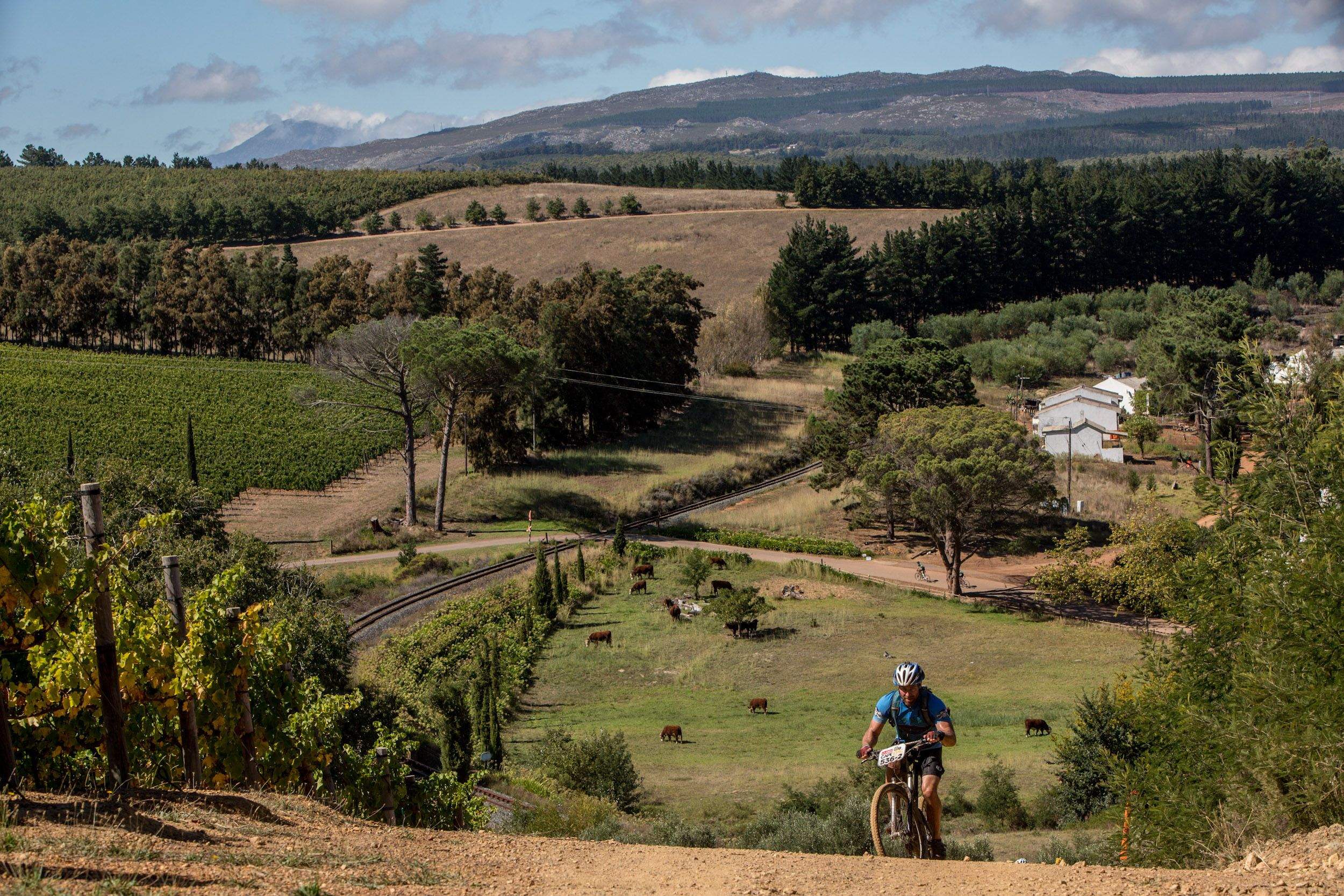 Absa Cape Epic