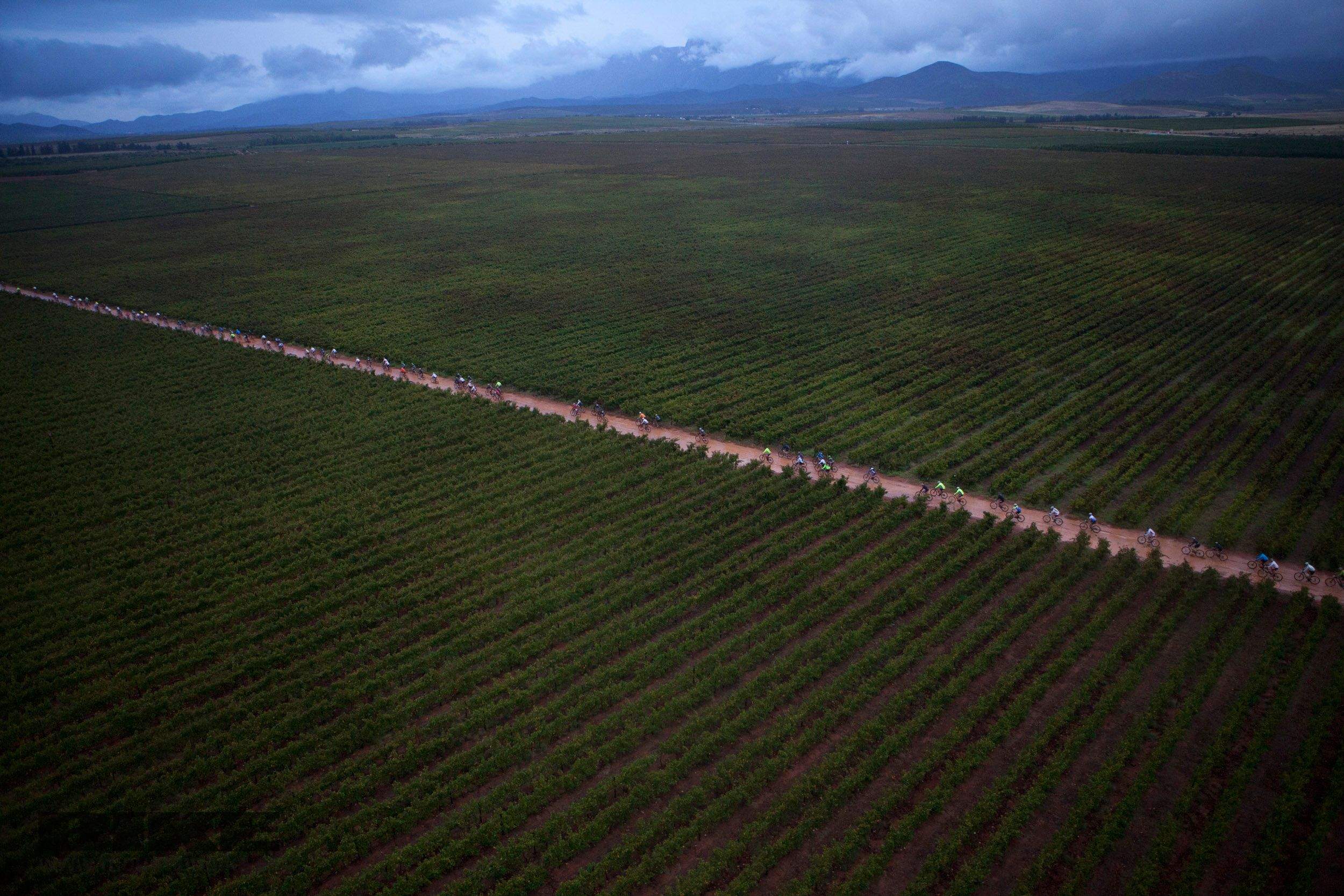 Absa Cape Epic