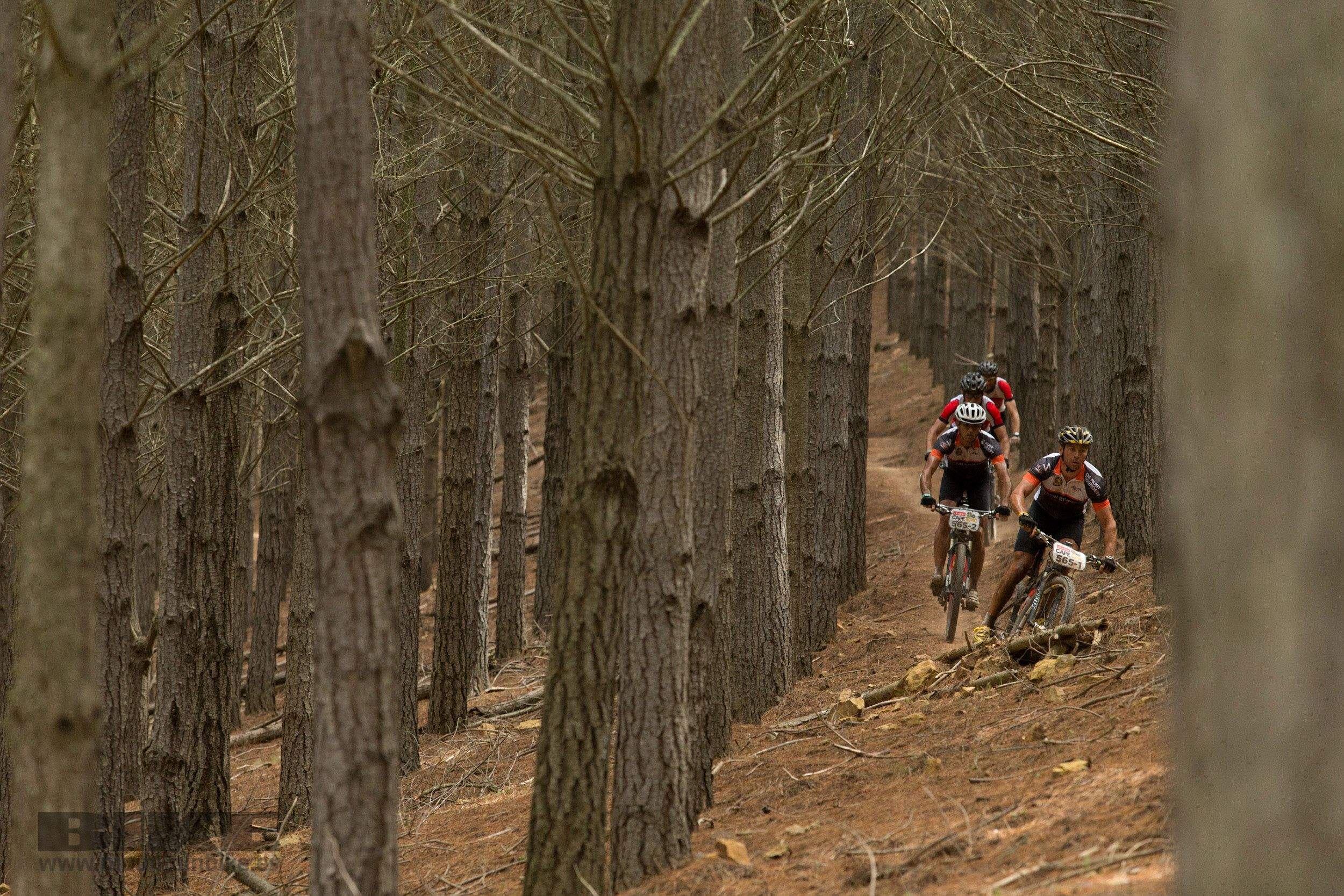 Absa Cape Epic