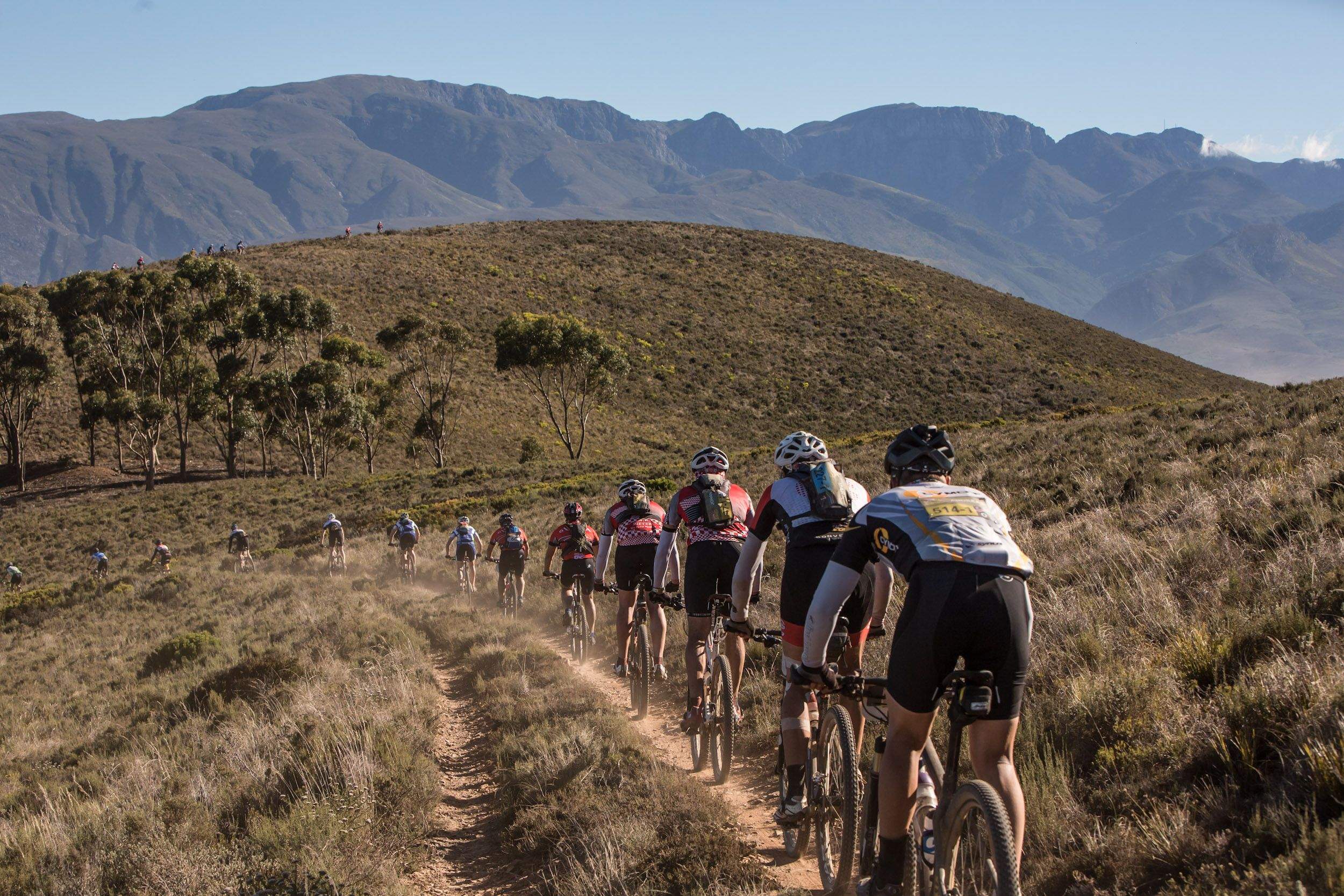 Absa Cape Epic