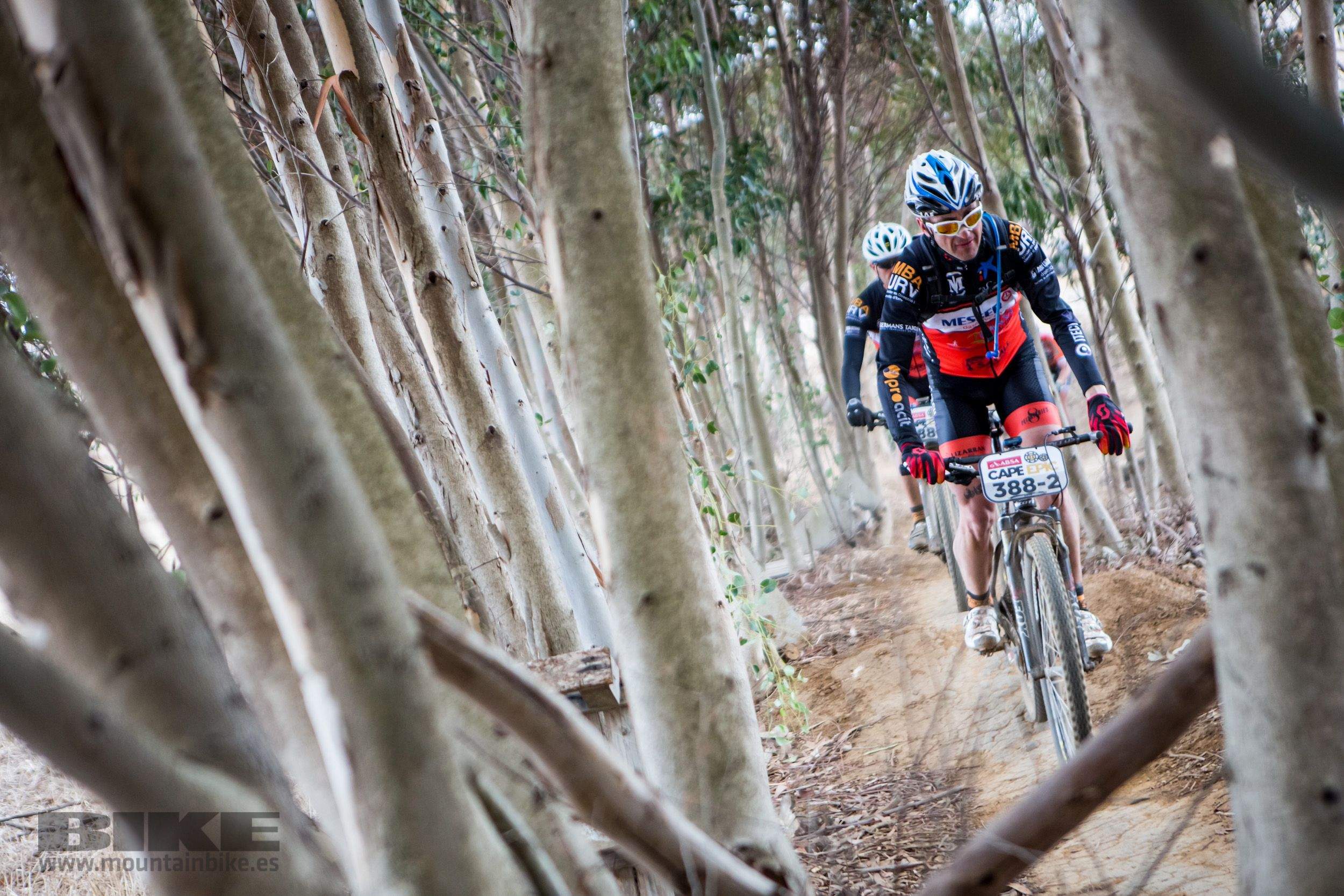 Absa Cape Epic