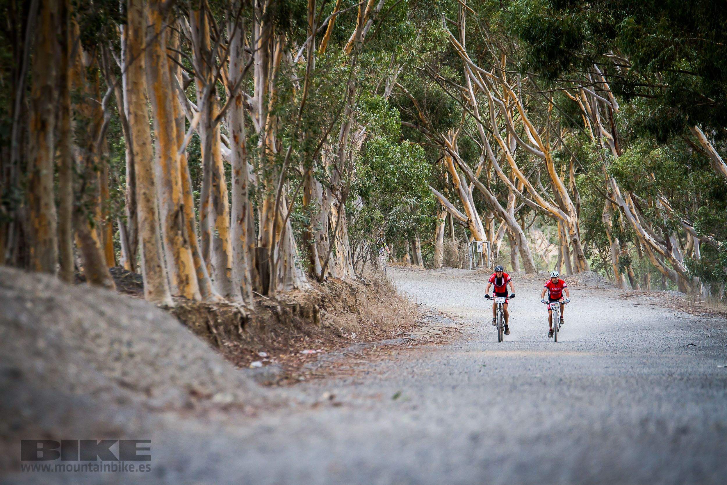 Absa Cape Epic