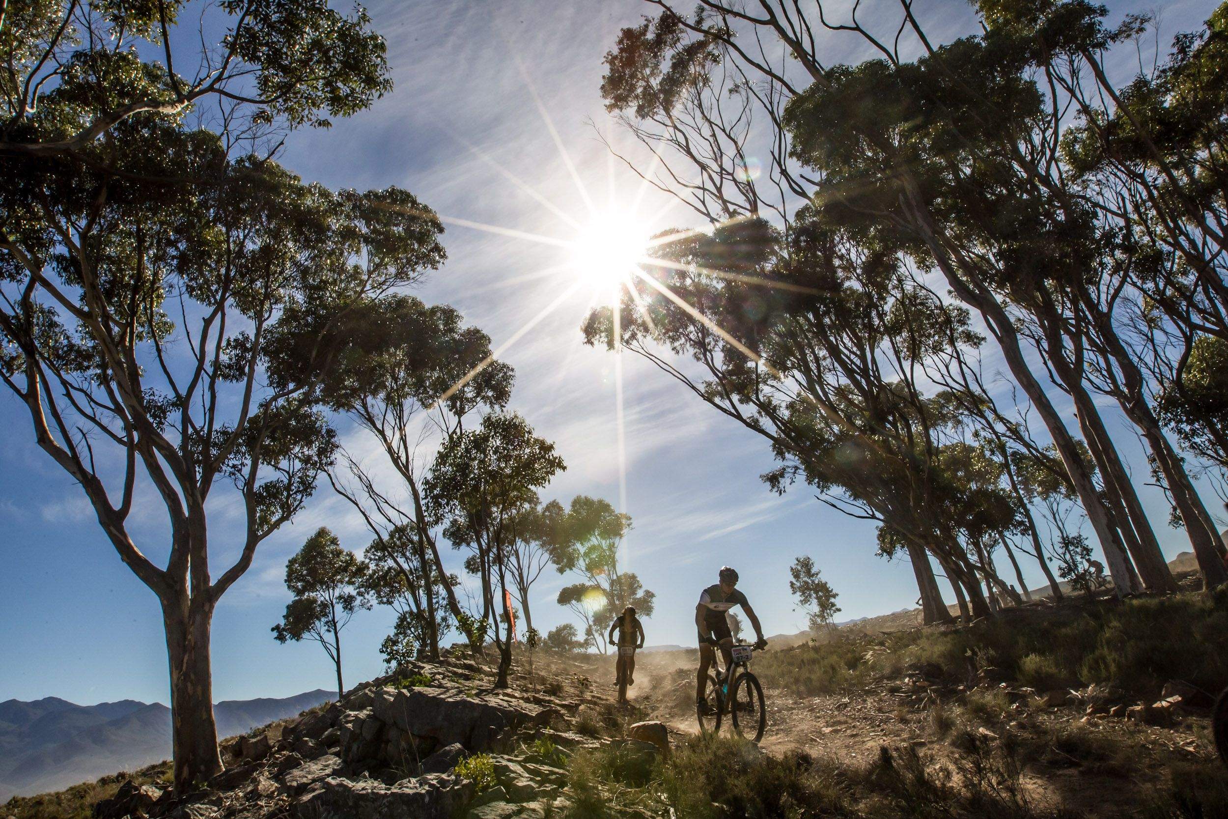 Absa Cape Epic