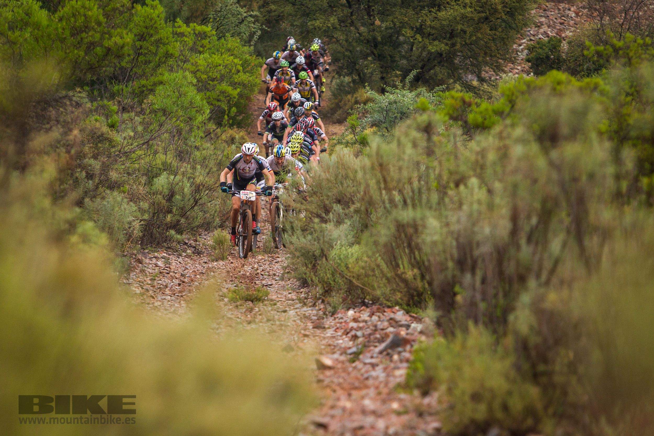 Absa Cape Epic