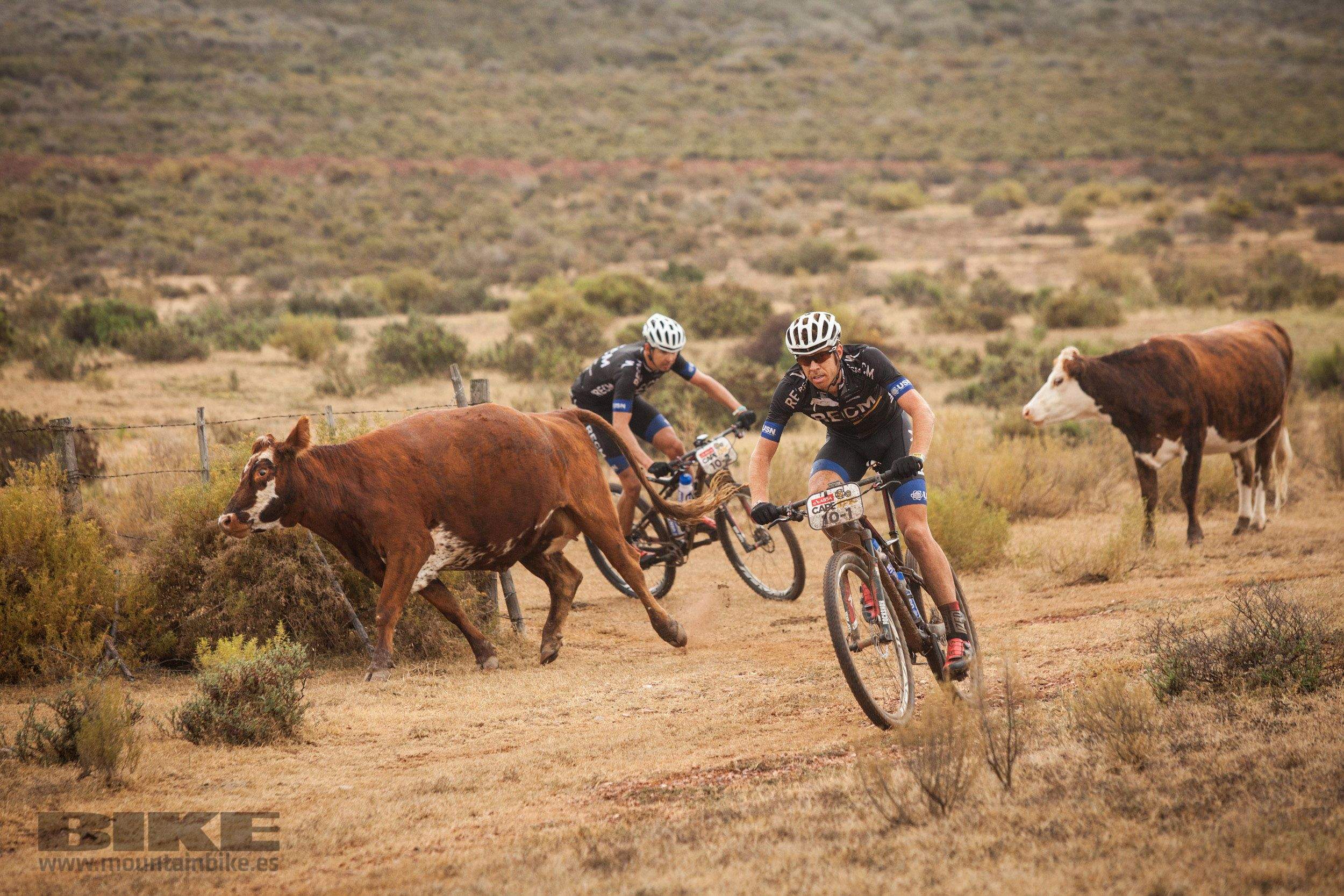 Absa Cape Epic