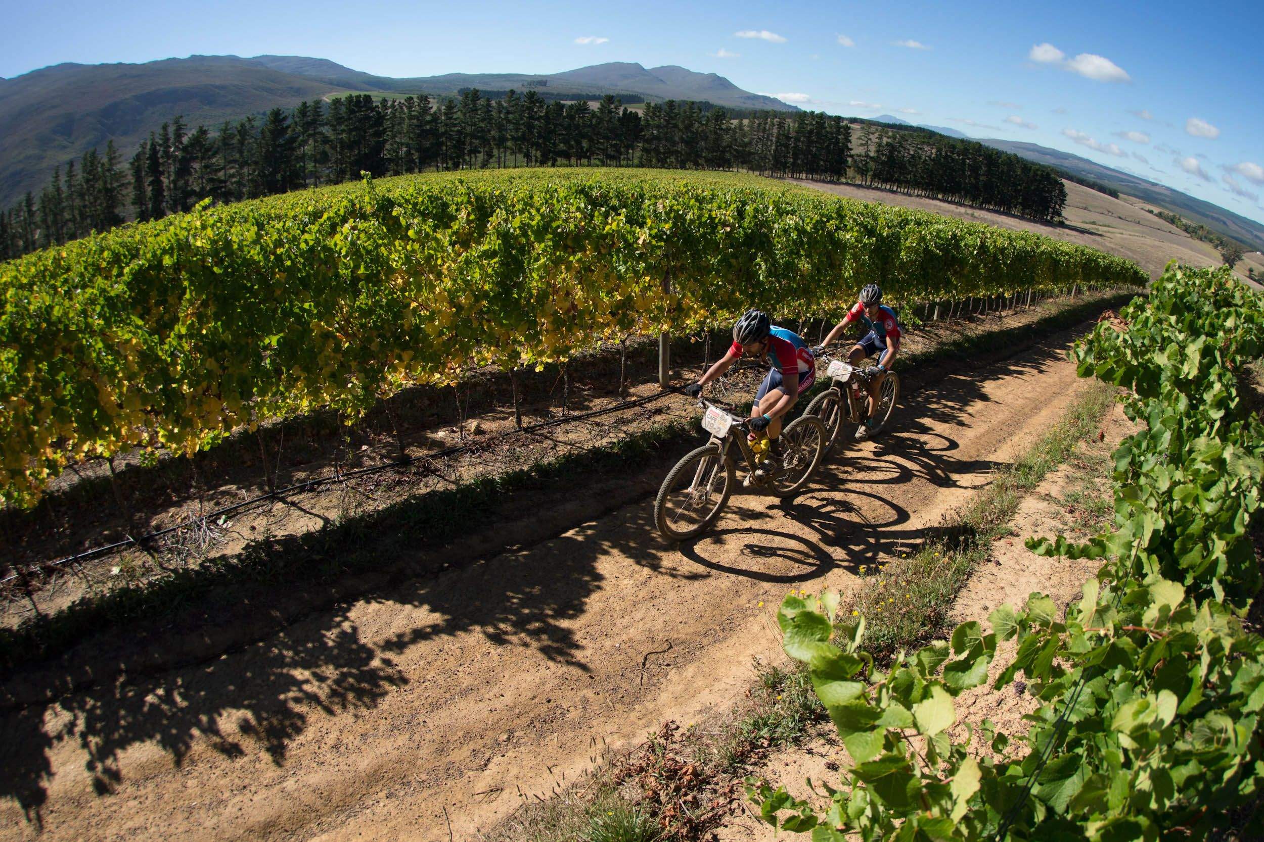 Absa Cape Epic