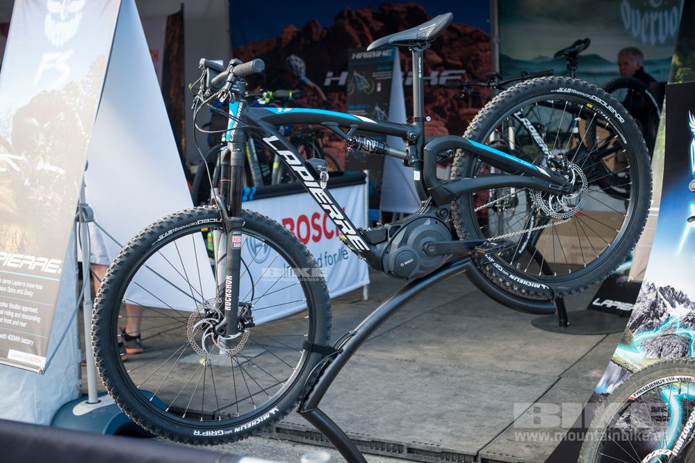 Sea Otter 2014