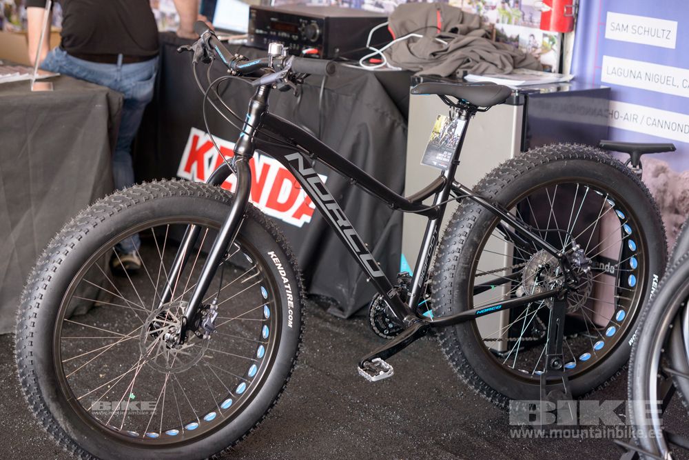 Sea Otter 2014