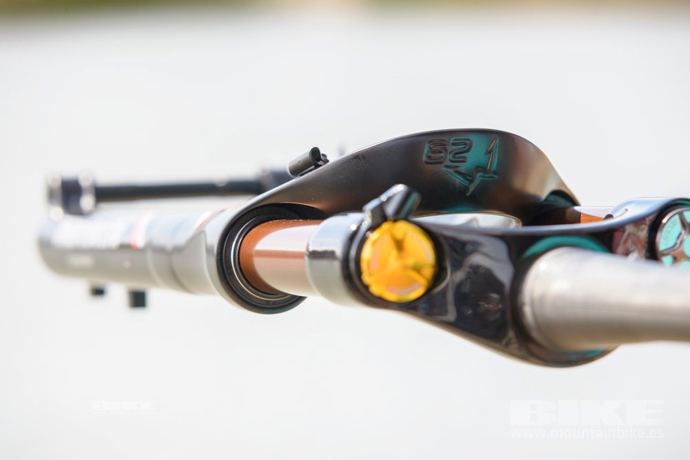 Sea Otter 2014