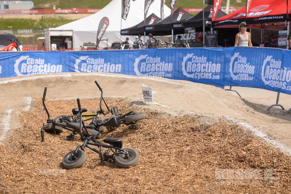 Sea Otter 2014