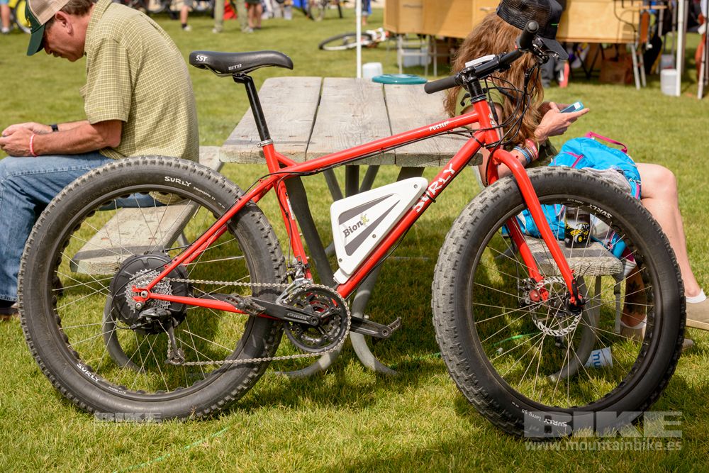 Sea Otter 2014
