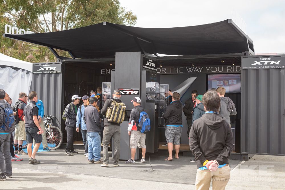 Sea Otter 2014