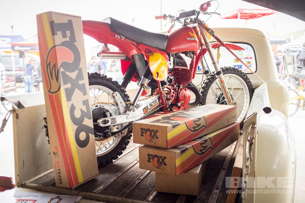 Sea Otter 2014