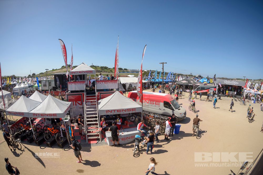 Sea Otter 2014