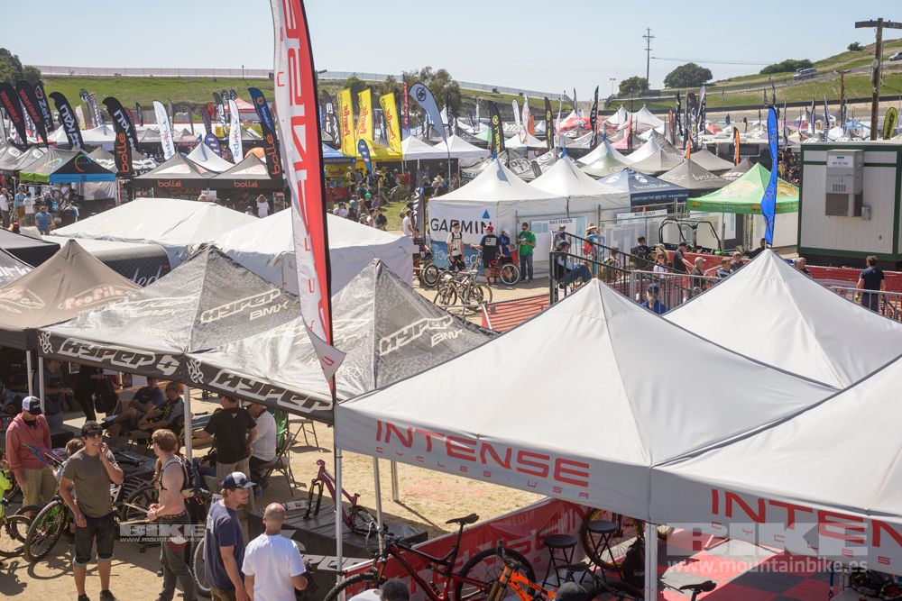 Sea Otter 2014