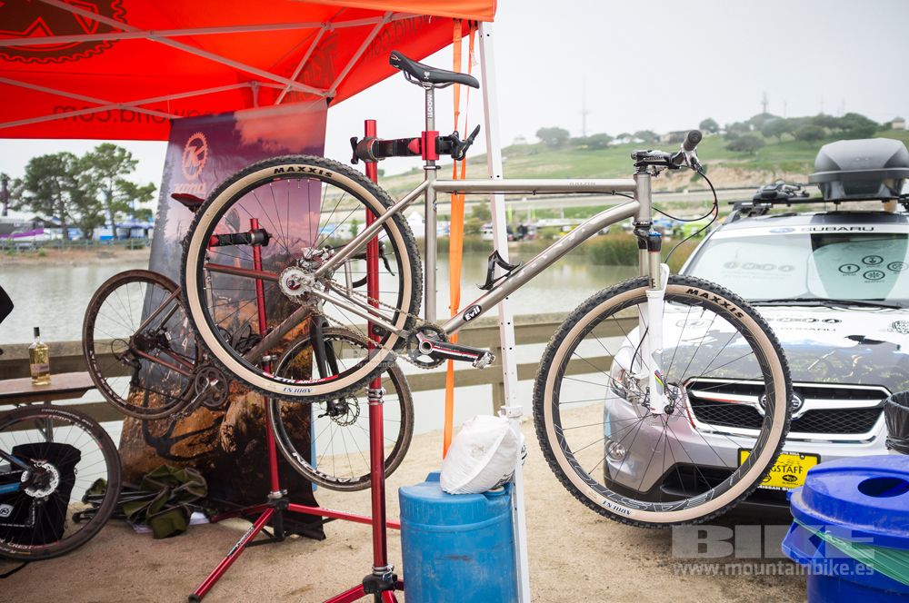 Sea Otter 2014