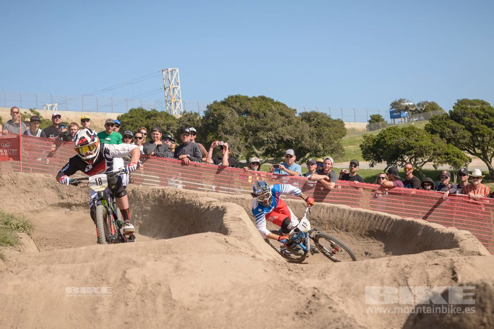 Sea Otter 2014