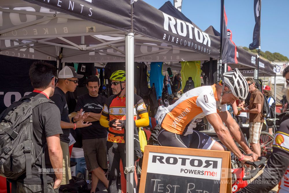Sea Otter 2014
