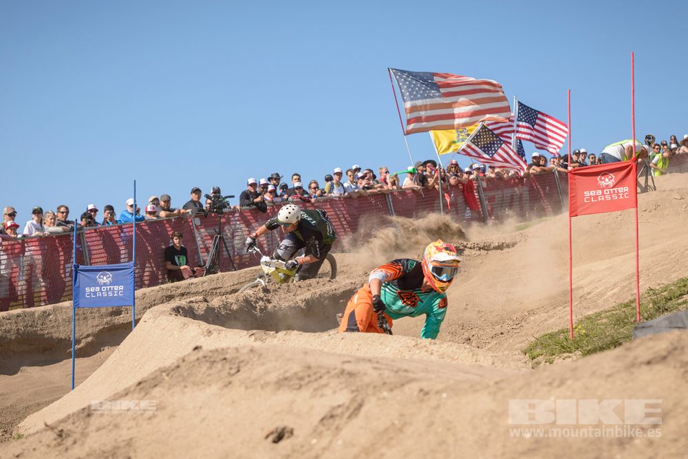 Sea Otter 2014